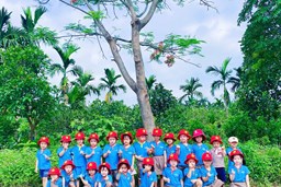 Trường Mầm Non Đại Hưng tổ chức cho trẻ đi thăm quan trải nghiệm Cánh Đồng Lúa và Trường Tiểu Học