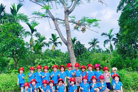 Trường Mầm Non Đại Hưng tổ chức cho trẻ đi thăm quan trải nghiệm Cánh Đồng Lúa và Trường Tiểu Học